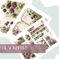 Archivos Digitales: Blackberry