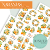 Plancha de Stickers: Naranjas
